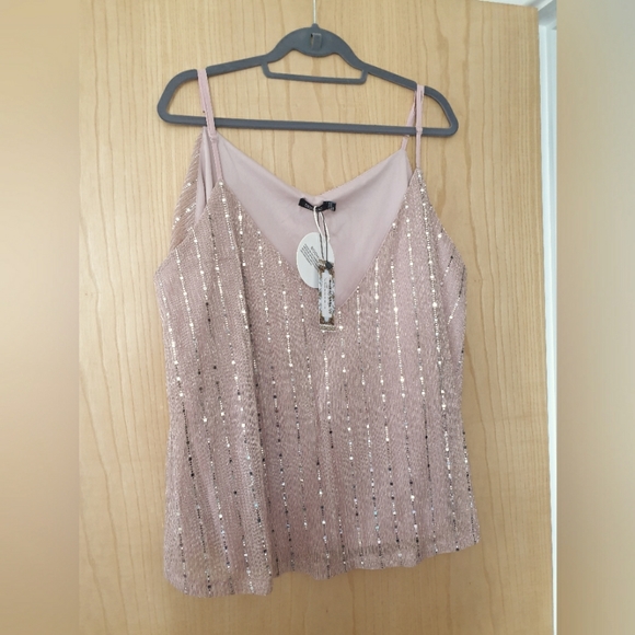 Boohoo Tops - BNWT Boohoo sequin stripe cami top